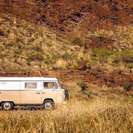 Tommy, A '77 Vw Bay Stylish Los Cristianos (Tenerife)